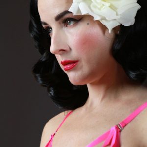 dita von teese sexy 140 photos 25