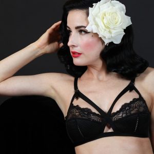 dita von teese sexy 140 photos 57