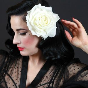 dita von teese sexy 140 photos 64