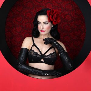 dita von teese sexy 140 photos 72 1