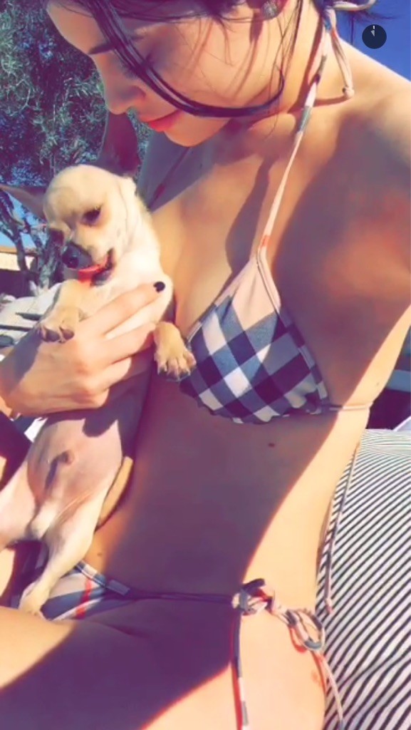 Kylie Jenner in a Bikini (2 New Photos + Gif)