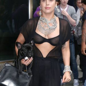 lady gaga naked pussy tits and ass 22 photos 7