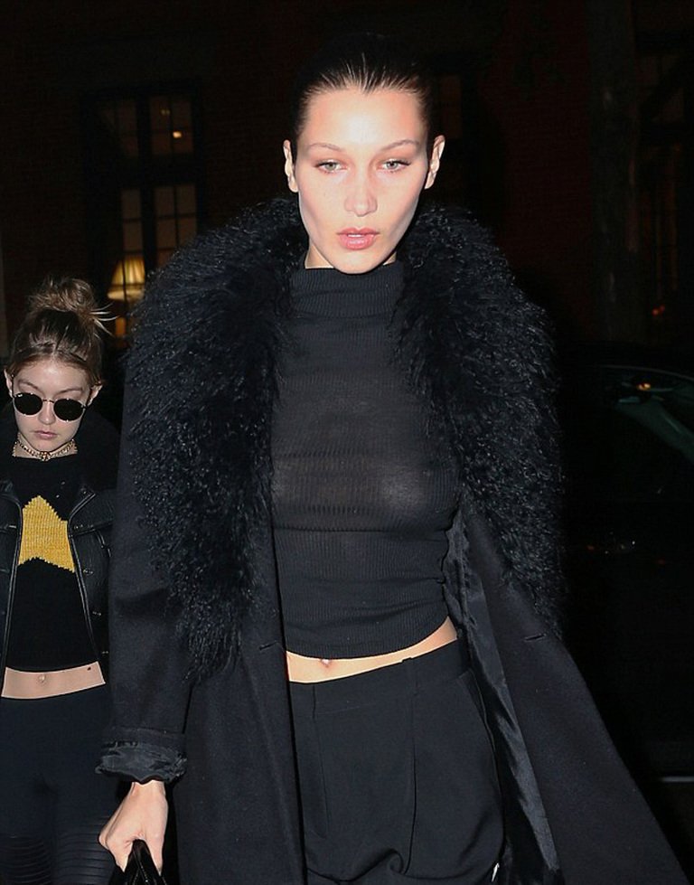 Bella Hadid Sexy (12 Photos)